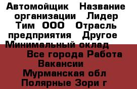 Автомойщик › Название организации ­ Лидер Тим, ООО › Отрасль предприятия ­ Другое › Минимальный оклад ­ 19 000 - Все города Работа » Вакансии   . Мурманская обл.,Полярные Зори г.